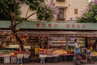 wethenorth market